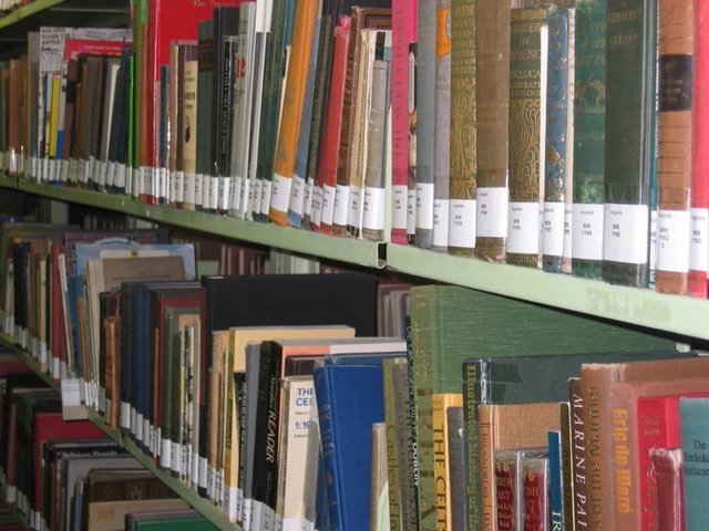 Riapertura della biblioteca